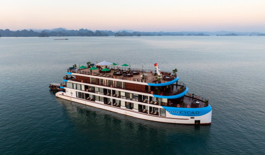 Cycad Cruise Halong Bay