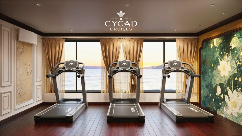 Sea-view Gym room