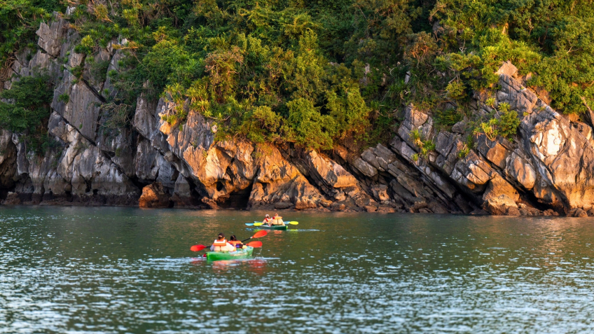 Explore the bay by kayak
