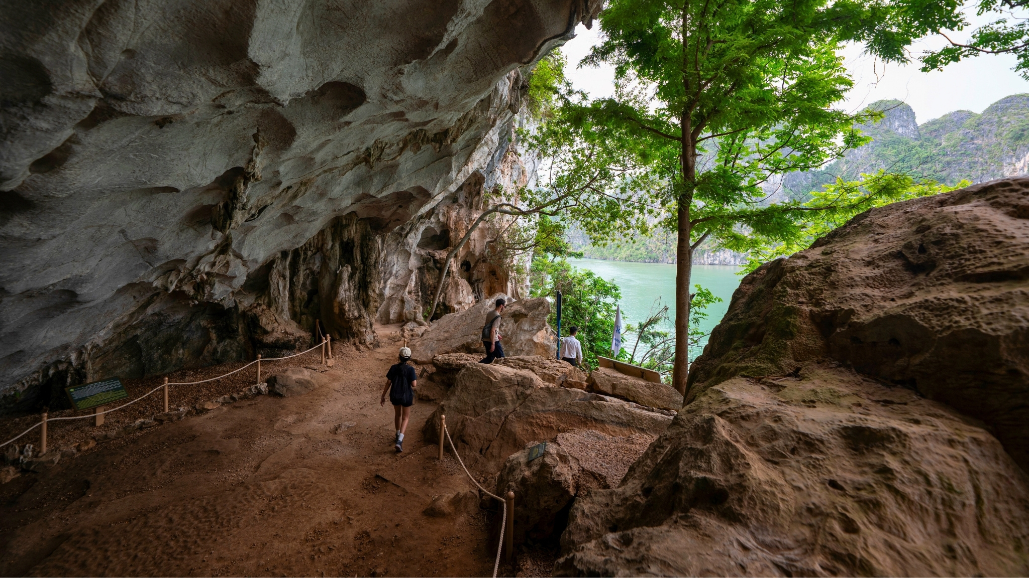 Lush outside view of the cave