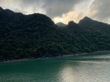 The bay