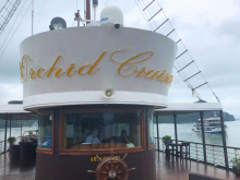 Orchid Cruise
