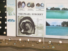 Pearl Gallery