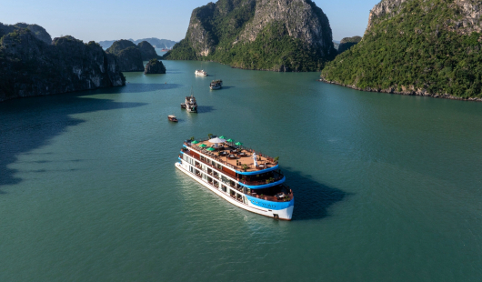 Cycad Cruise 2 days 1 night Halong Bay